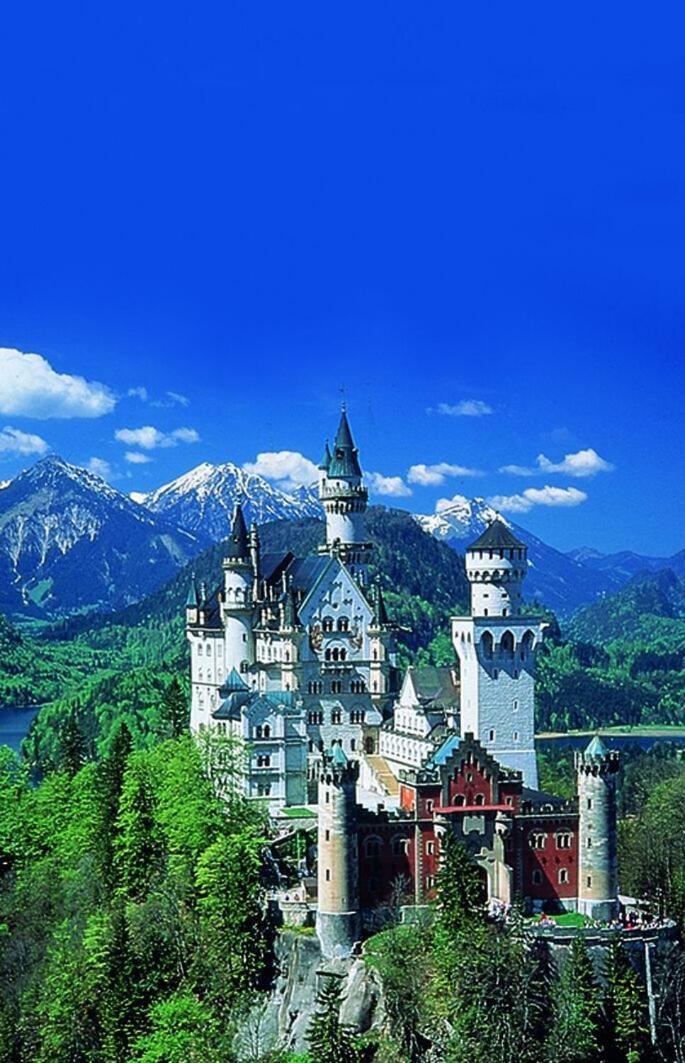 Haflingerhof Otel Roßhaupten Dış mekan fotoğraf